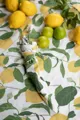 Omslagsbild för Bordsduk Limone 0