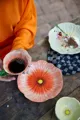 Omslagsbild för Poppy assiette 0