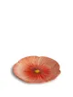 Omslagsbild för Poppy assiette 0