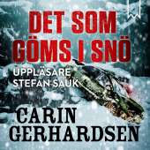 Det som göms i snö av Carin Gerhardsen
