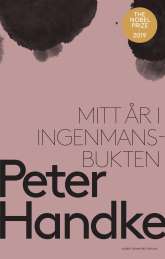 Mitt år i Ingenmansbukten : En saga från de nya tiderna av Peter Handke