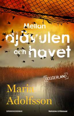 Bild på Mellan djävulen och havet