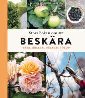 Stora boken om att beskära : träd, buskar, häckar och rosor av Susanna Rosén,