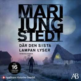Bild på Där den sista lampan lyser