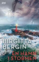 En hamn i stormen av Birgitta Bergin